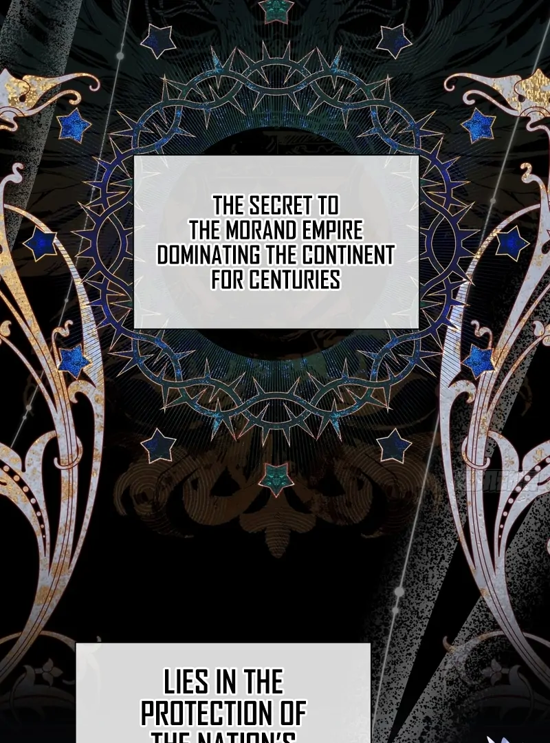 Chapter 1 - Image 3