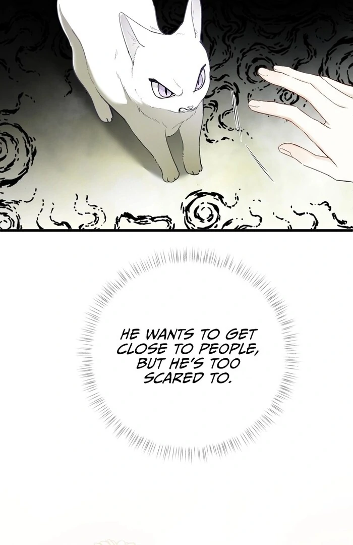 Chapter 12 - Image 53