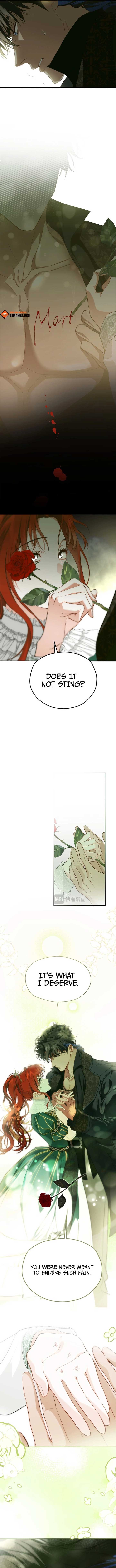 Chapter 14 - Image 4