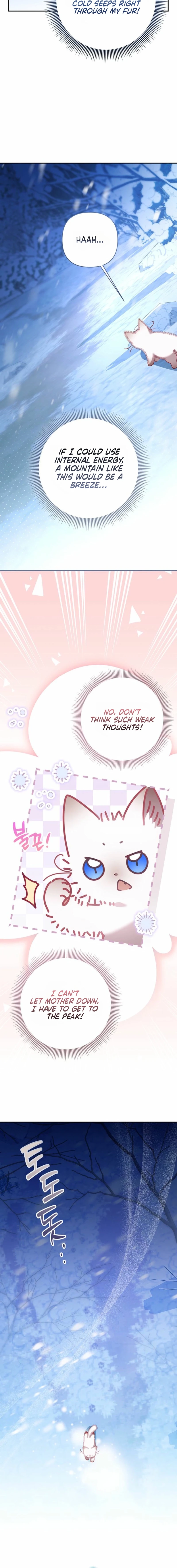 Chapter 1 - Image 6