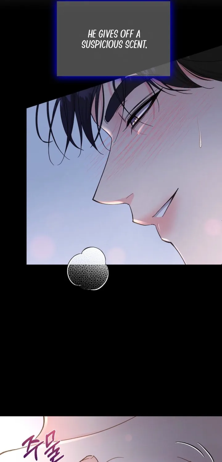 Chapter 1 - Image 11