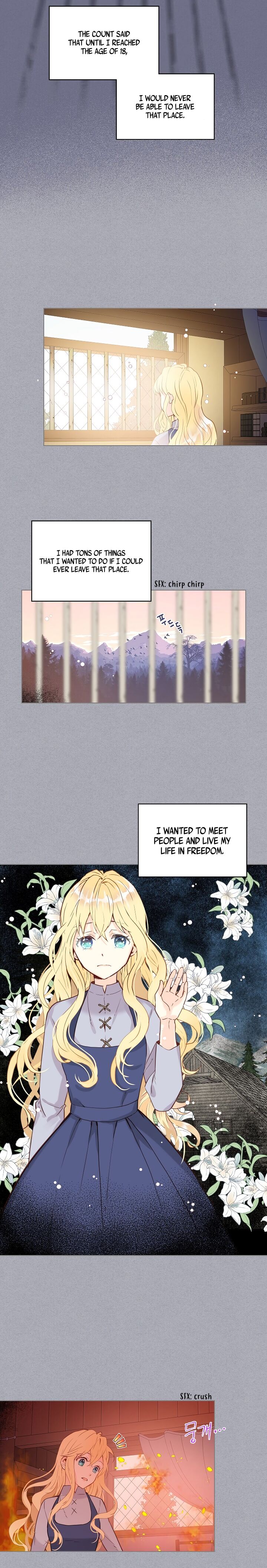 Chapter 1 - Image 8