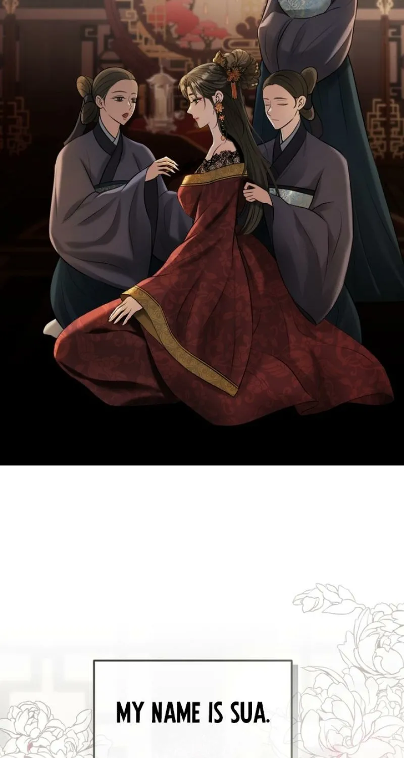 Chapter 1 - Image 4