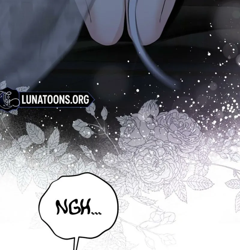Chapter 1 - Image 54