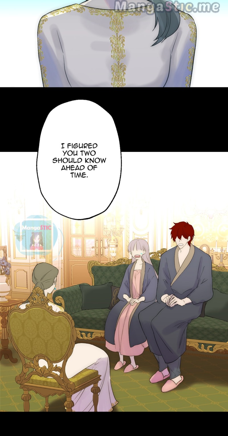 Chapter 244 - Image 36