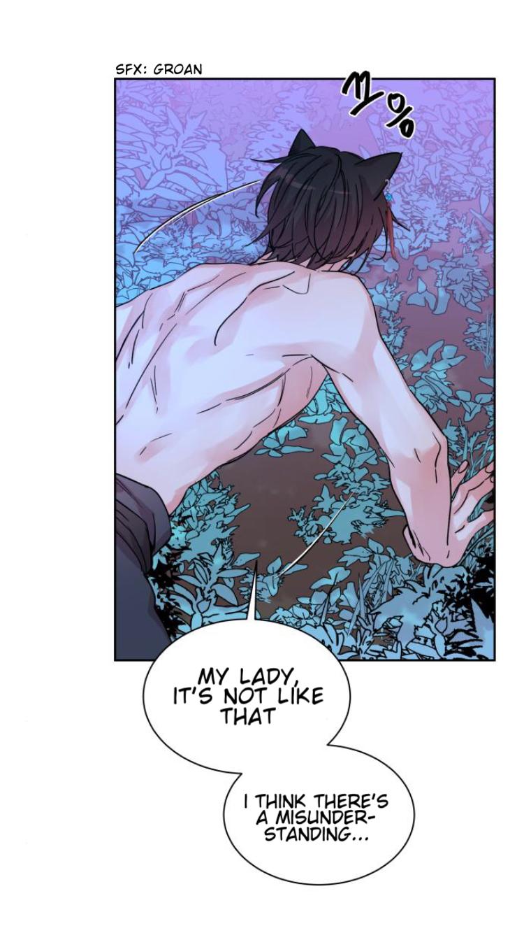 Chapter 2 - Image 5