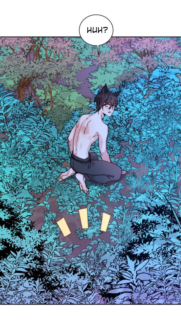 Chapter 2 - Image 6