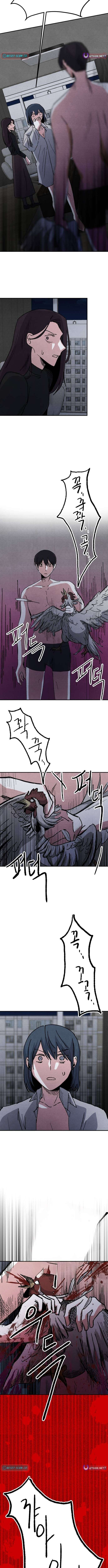 Chapter 5 - Image 12