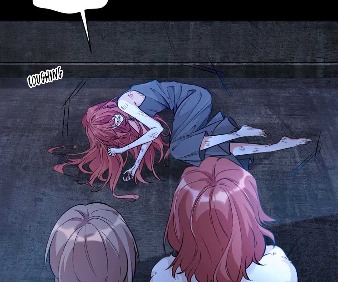 Chapter 1 - Image 12