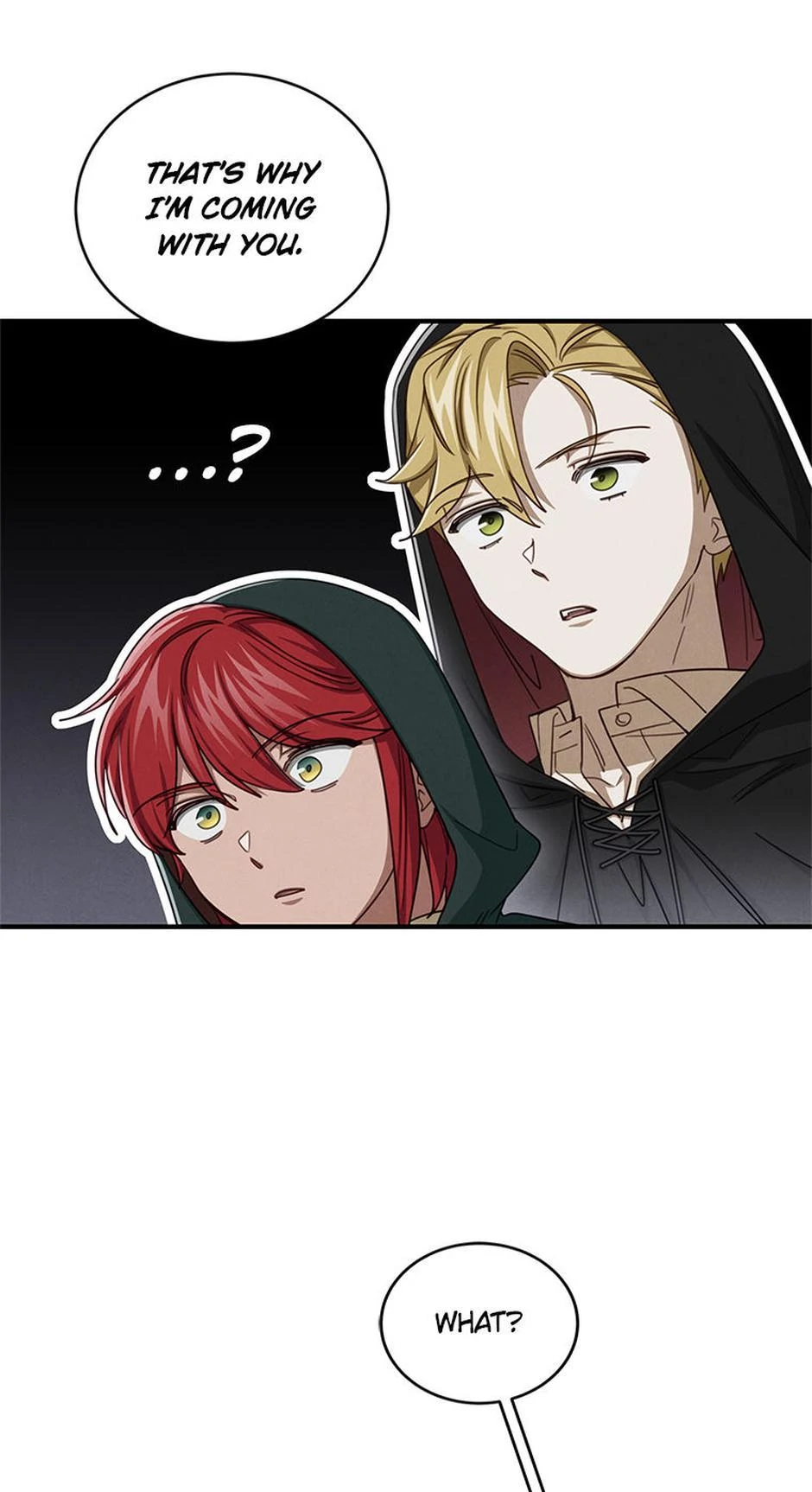 Chapter 20 - Image 24