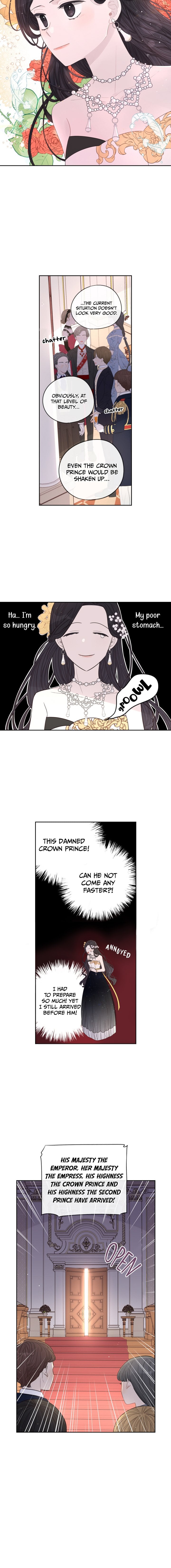 Chapter 2 - Image 11