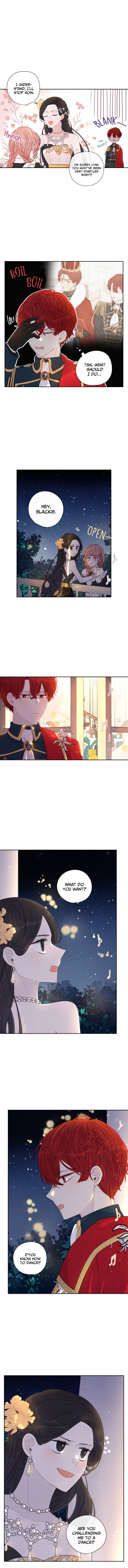 Chapter 3 - Image 6
