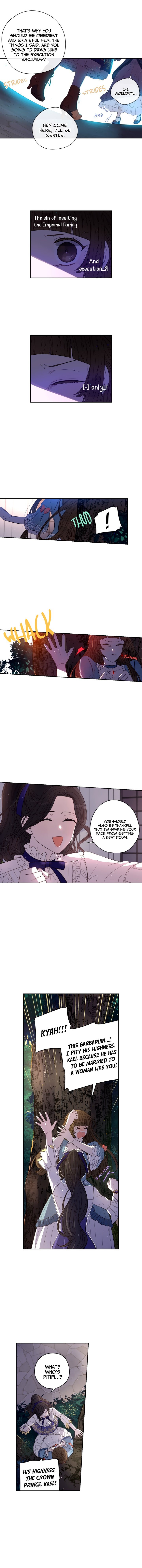 Chapter 8 - Image 5