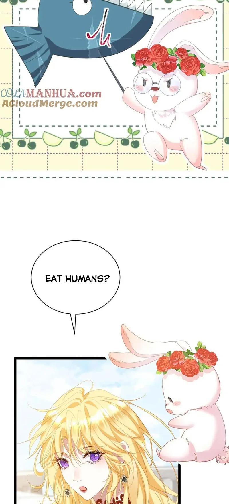 Chapter 1 - Image 4