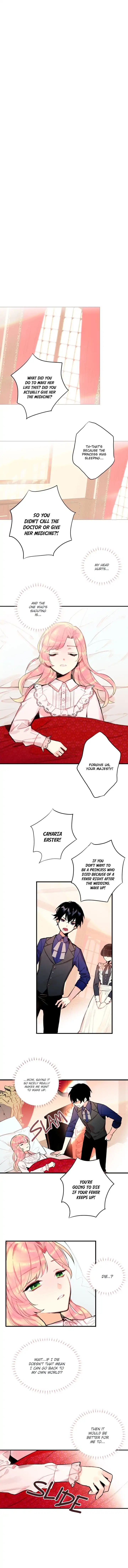Chapter 2 - Image 8