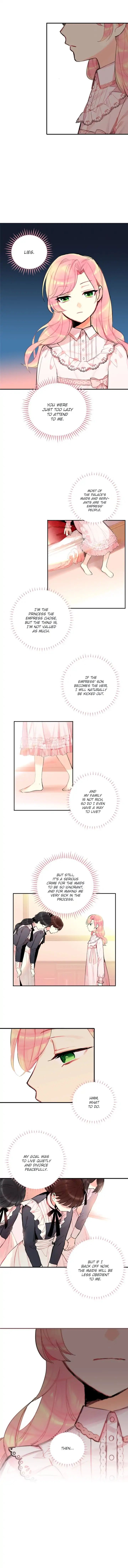 Chapter 3 - Image 5