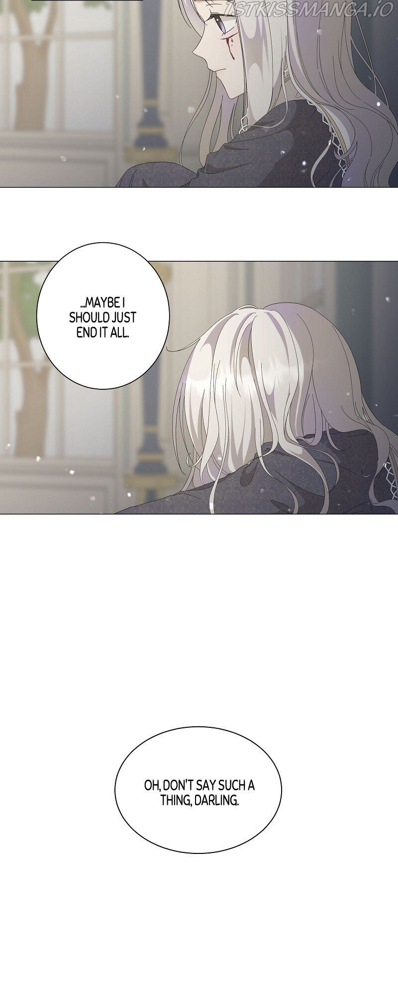 Chapter 2 - Image 5