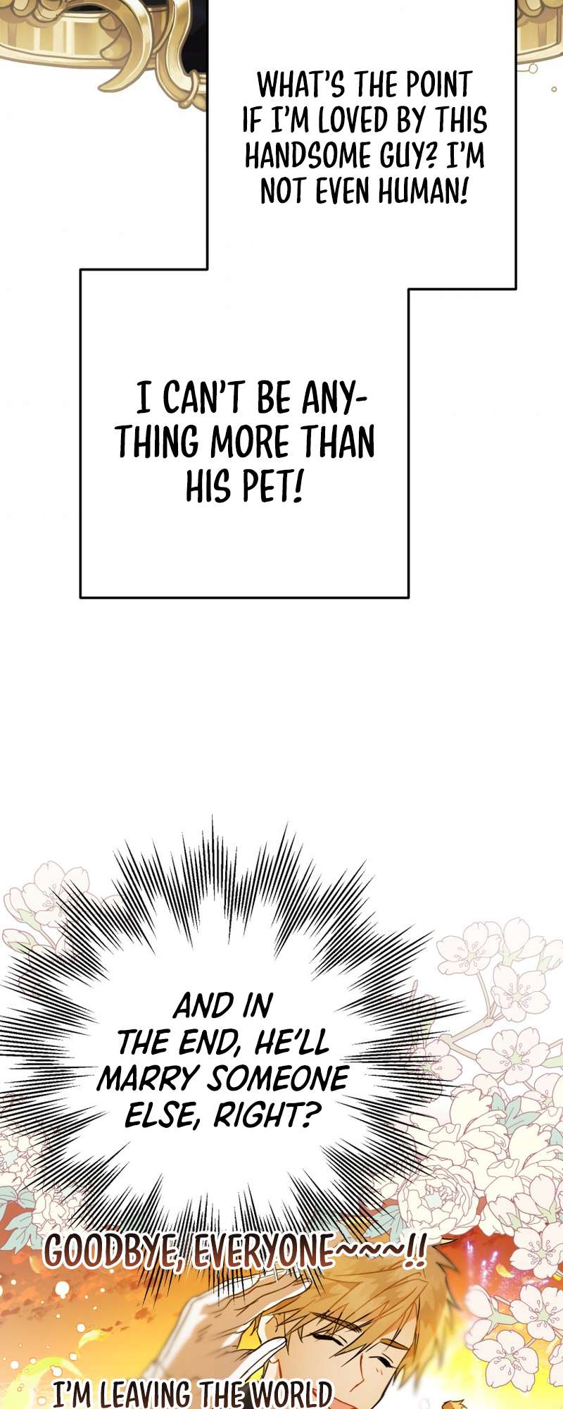 Chapter 4 - Image 41
