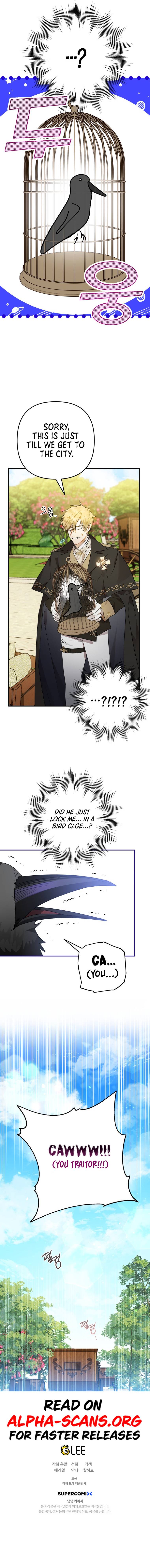 Chapter 5 - Image 9