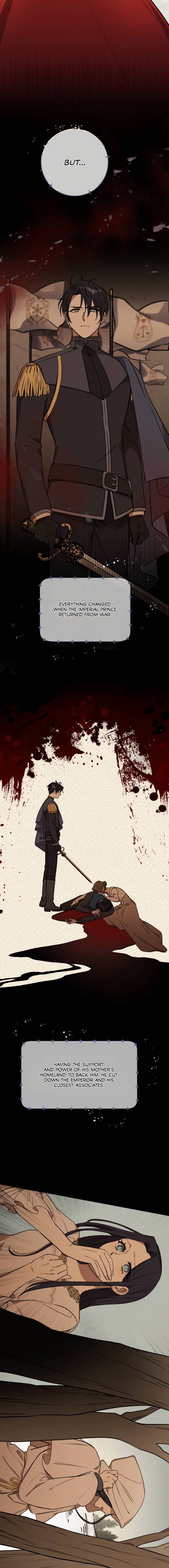 Chapter 1 - Image 12
