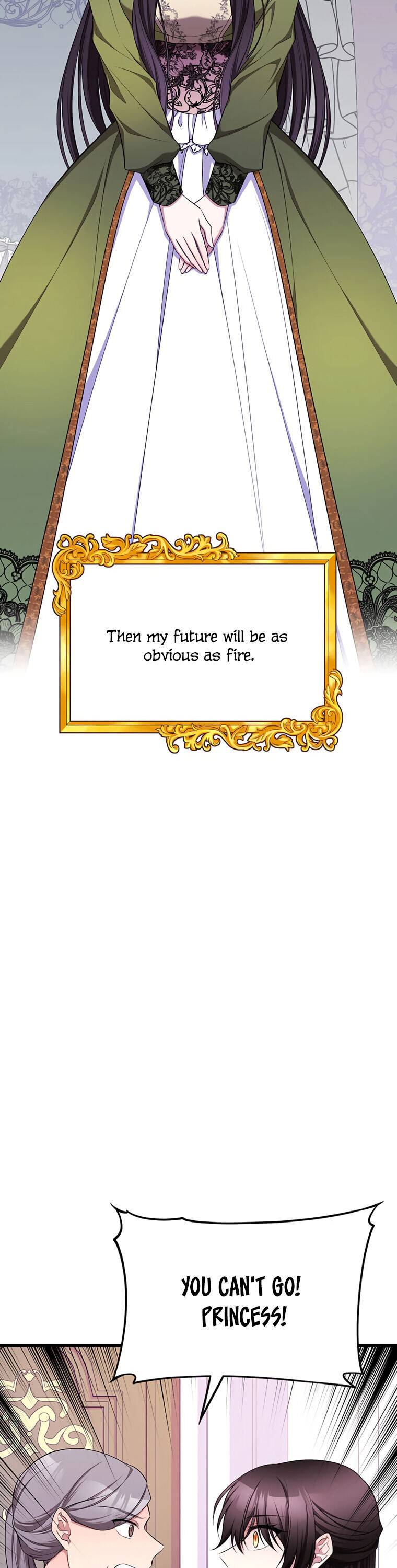 Chapter 1 - Image 21
