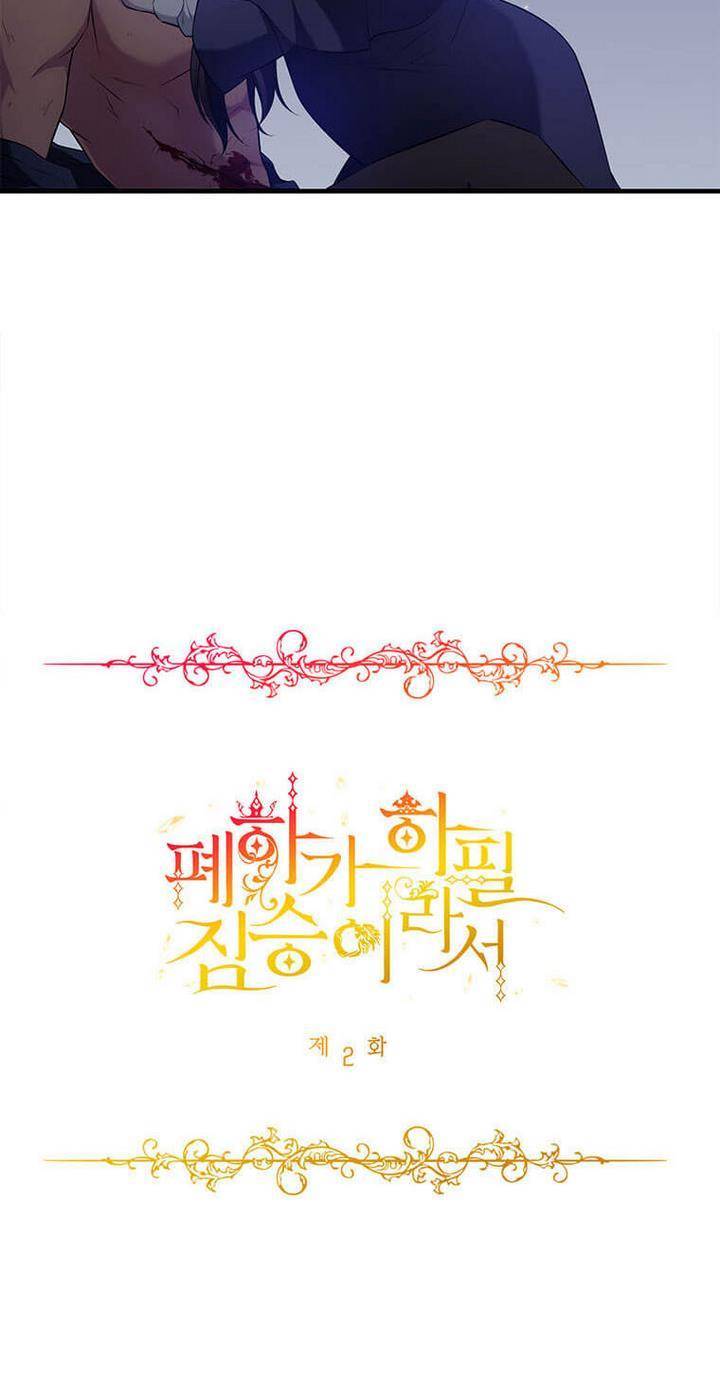 Chapter 2 - Image 13