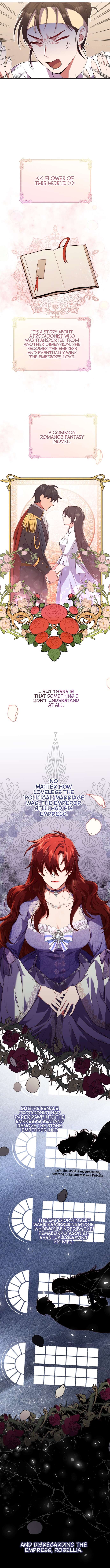 Chapter 1 - Image 7