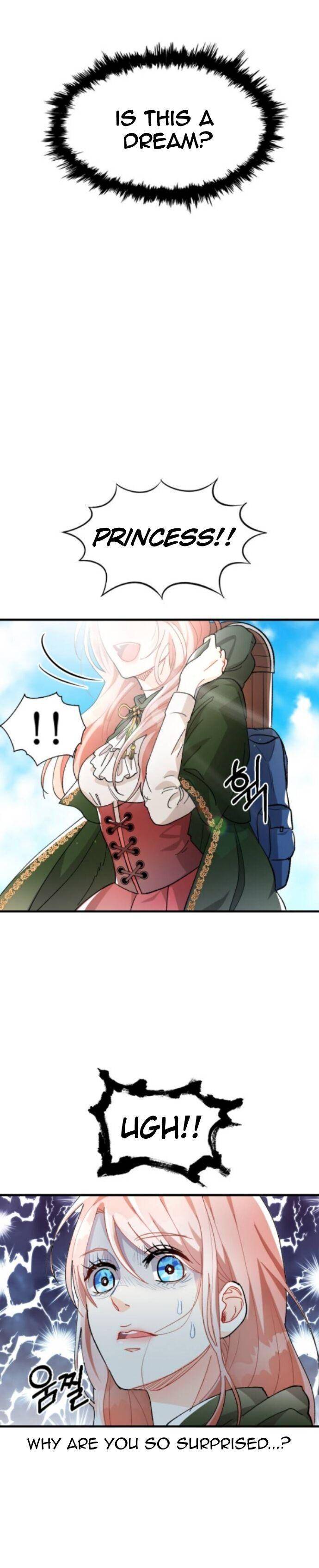 Chapter 2 - Image 5