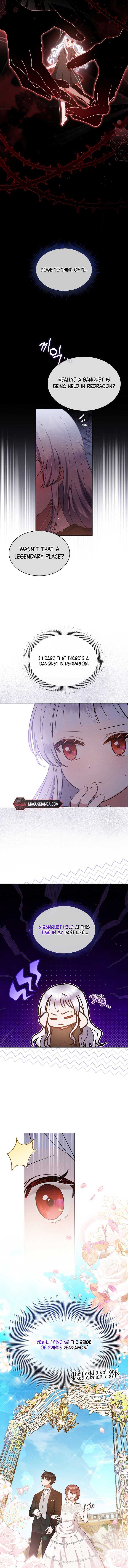 Chapter 2 - Image 3