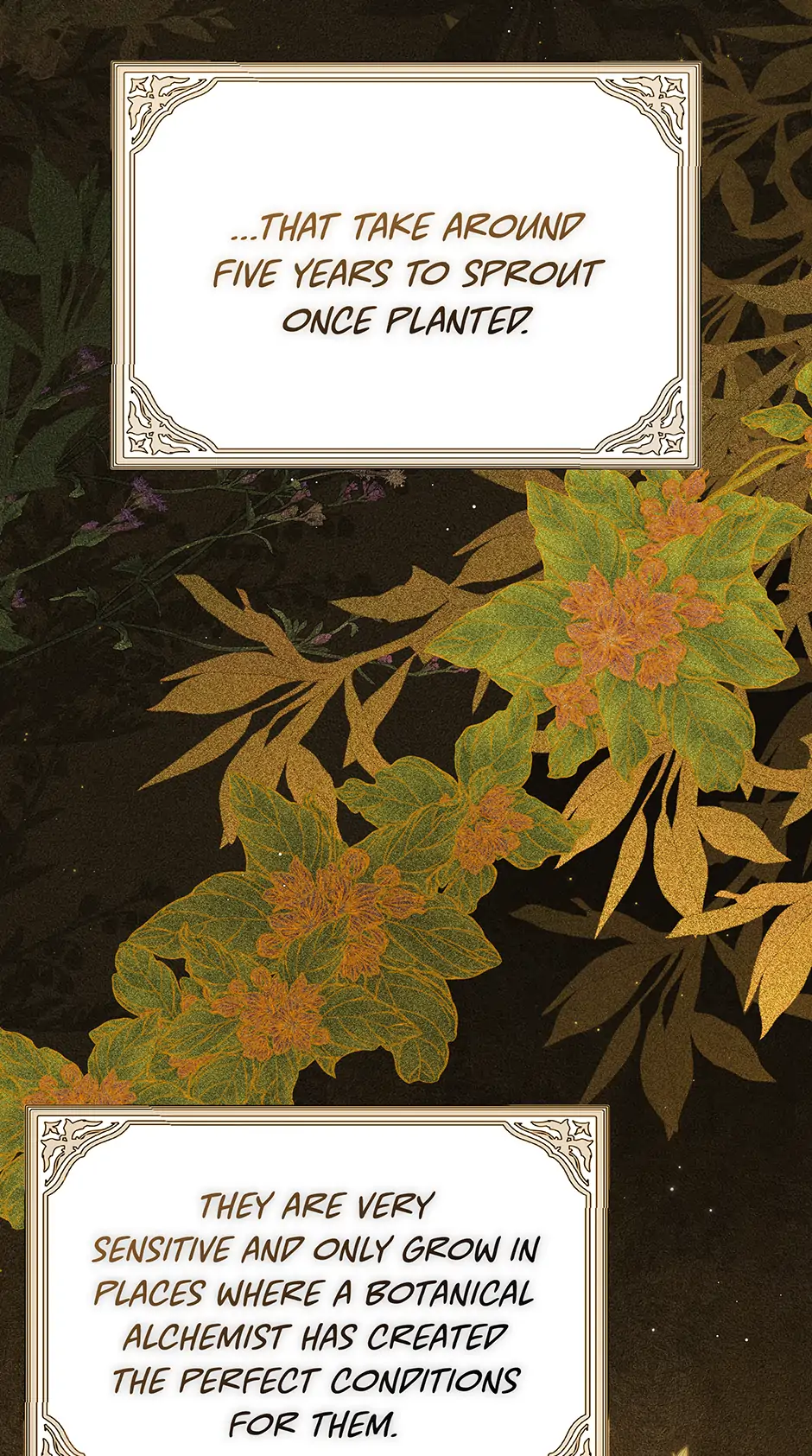 Chapter 36 - Image 3
