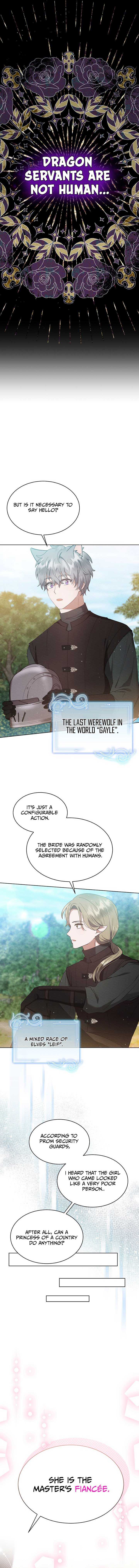 Chapter 5 - Image 6