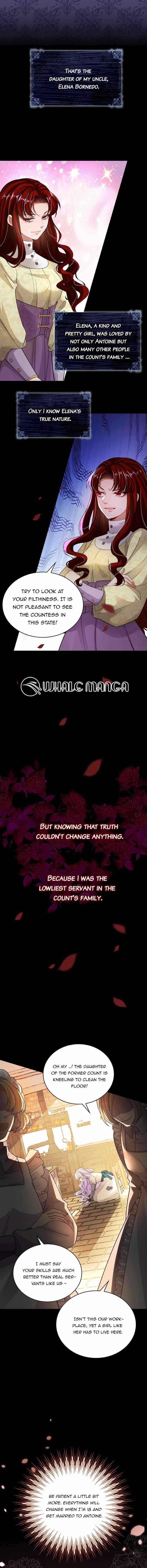 Chapter 1 - Image 10