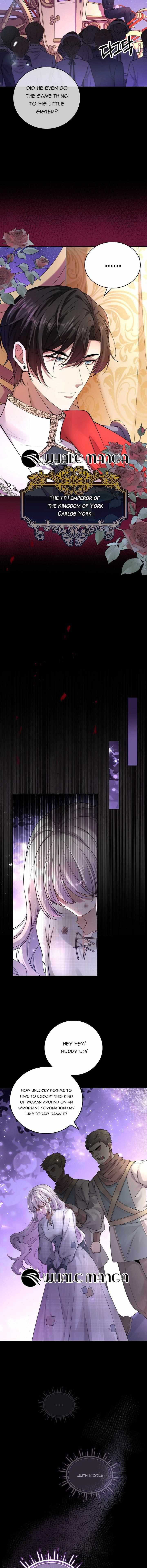 Chapter 1 - Image 3