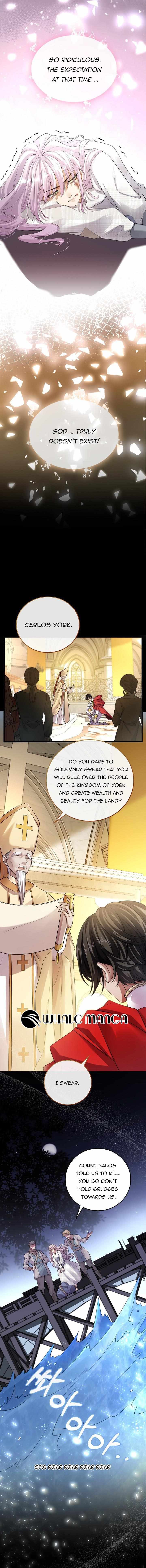 Chapter 1 - Image 6