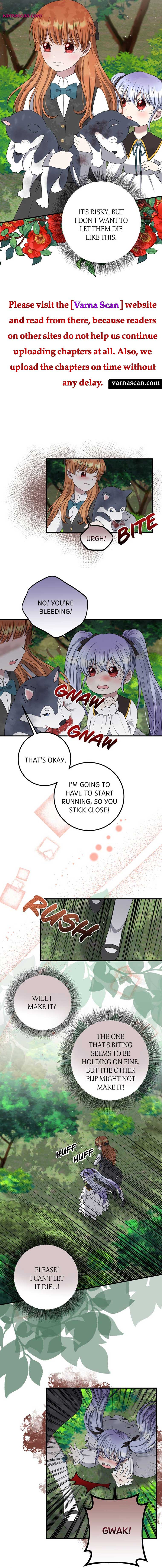 Chapter 12 - Image 3