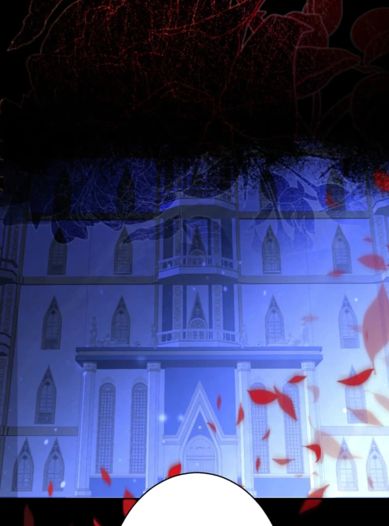 Chapter 2 - Image 5