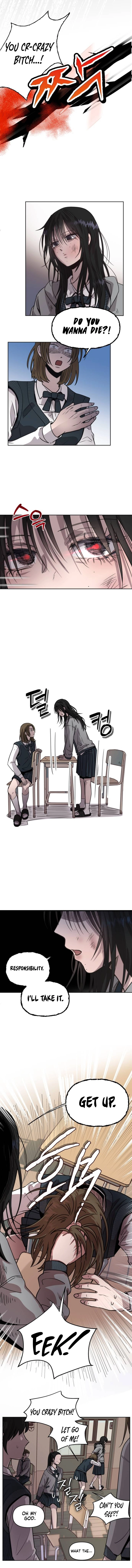 Chapter 1 - Image 5