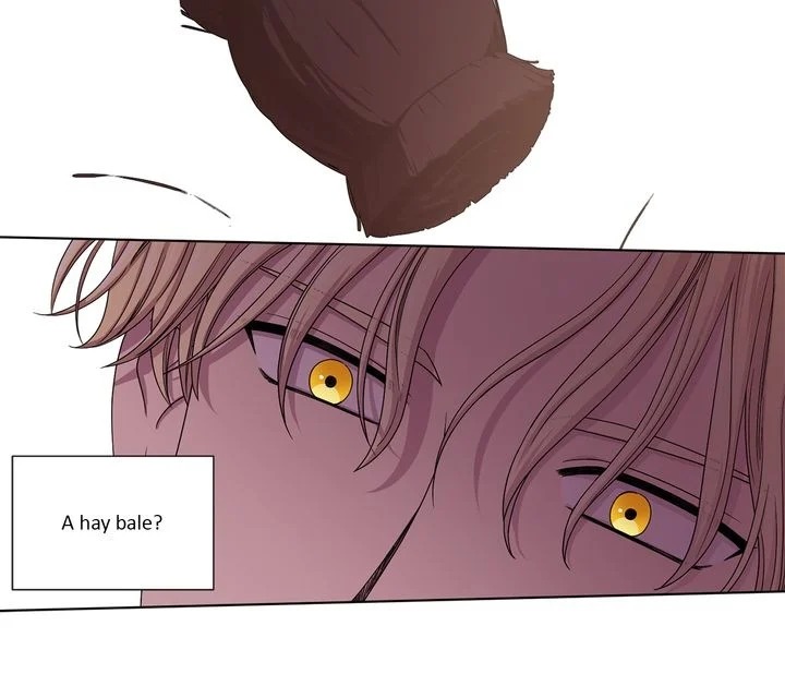 Chapter 19 - Image 8