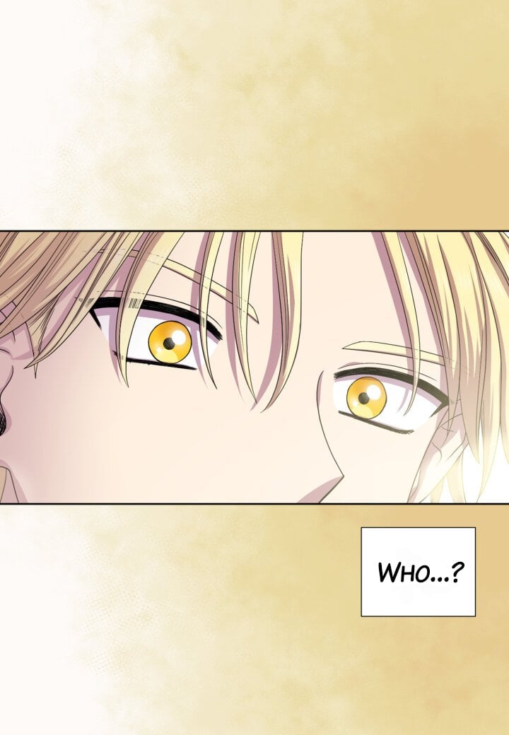 Chapter 2 - Image 65
