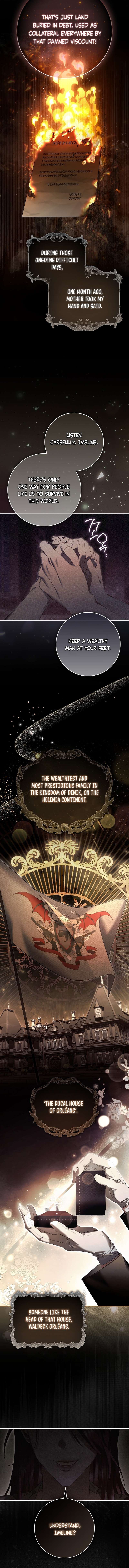 Chapter 1 - Image 5
