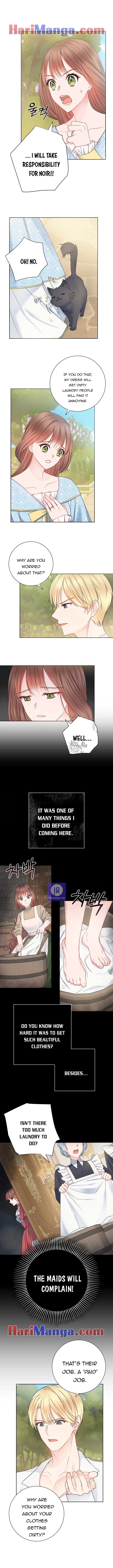 Chapter 11 - Image 5