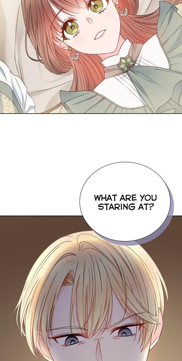 Chapter 2 - Image 3