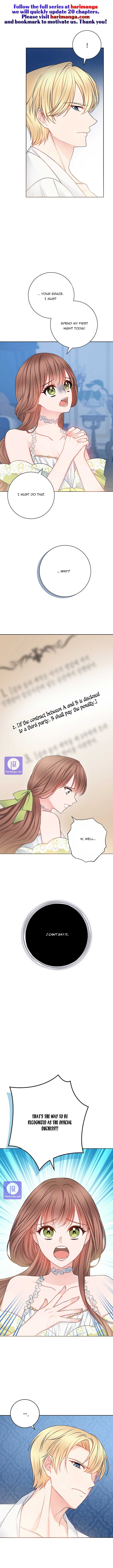 Chapter 4 - Image 7