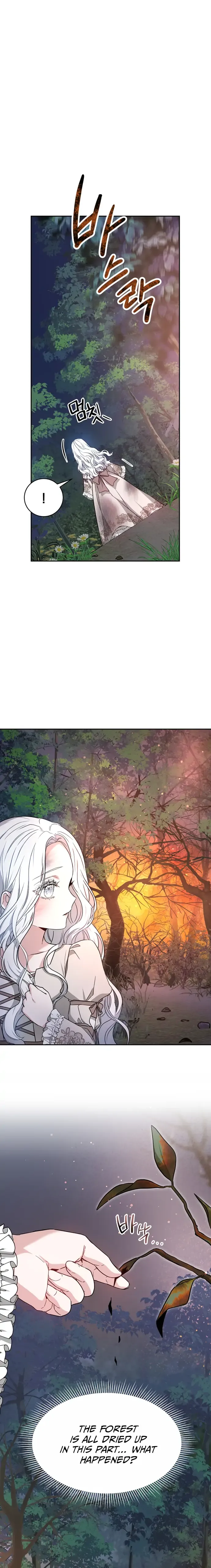 Chapter 1 - Image 5