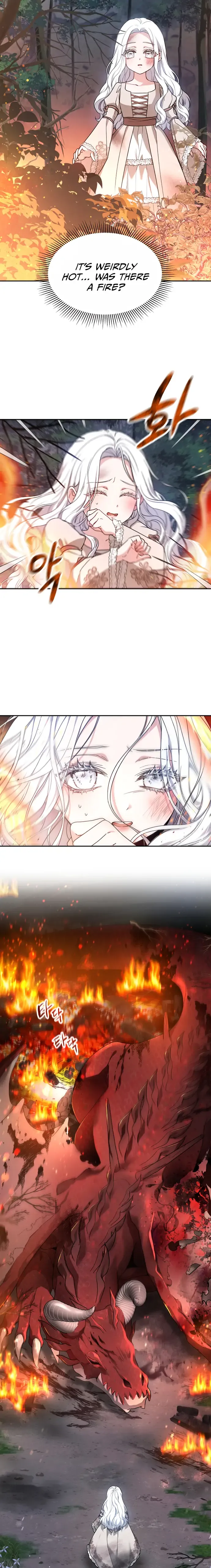 Chapter 1 - Image 6