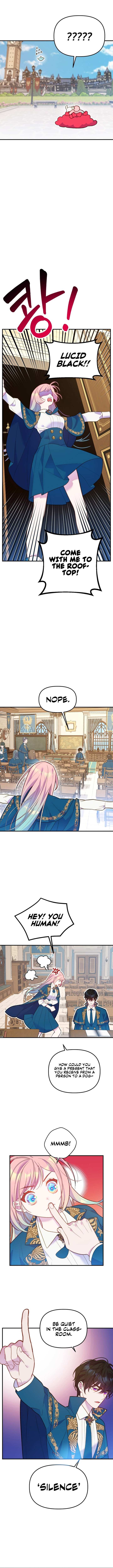 Chapter 3 - Image 13