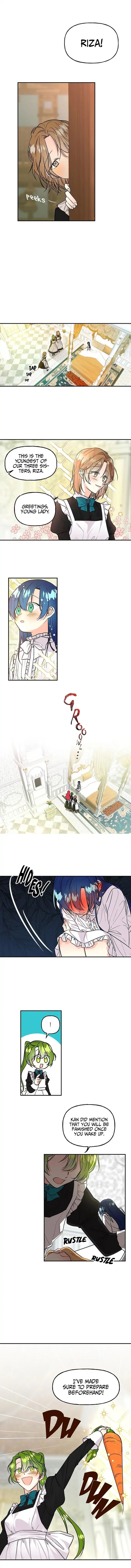 Chapter 4 - Image 3