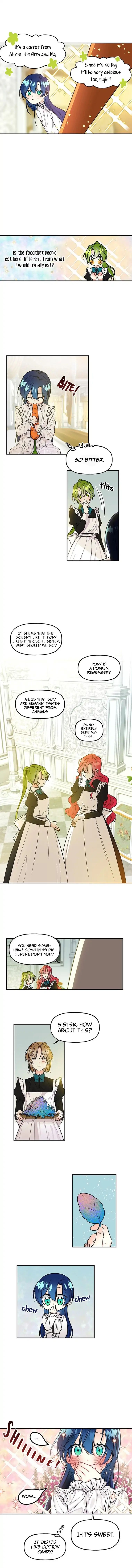 Chapter 4 - Image 4