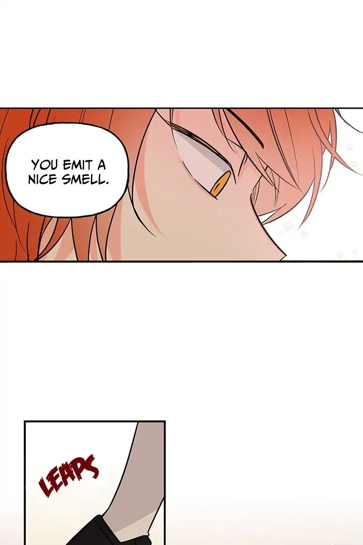 Chapter 5 - Image 14