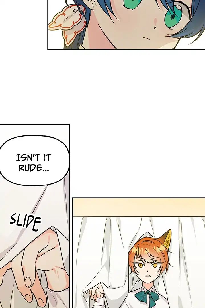 Chapter 5 - Image 3